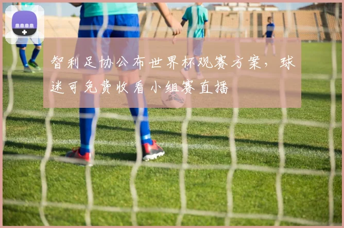 智利足协公布世界杯观赛方案，球迷可免费收看小组赛直播