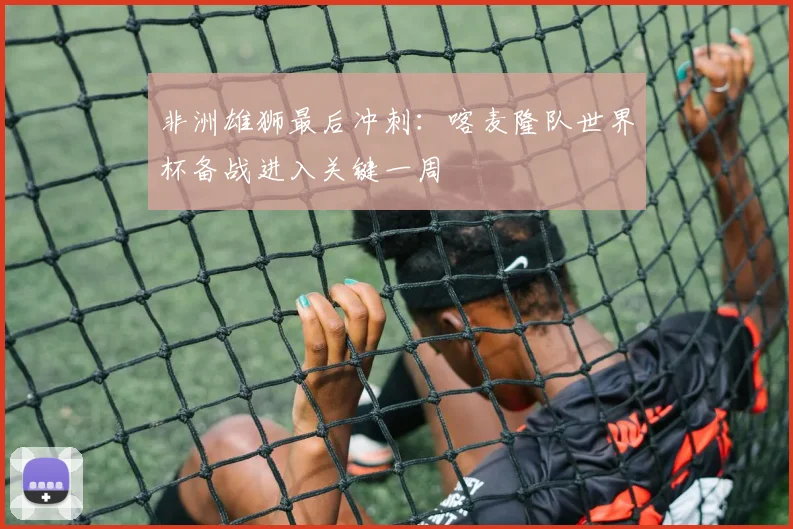 非洲雄狮最后冲刺：喀麦隆队世界杯备战进入关键一周