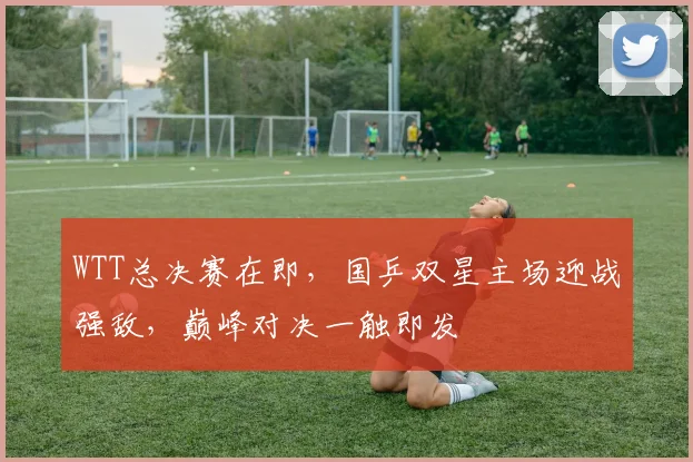 WTT总决赛在即，国乒双星主场迎战强敌，巅峰对决一触即发